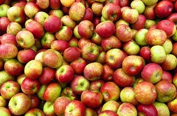 Apple dieta za hujšanje
